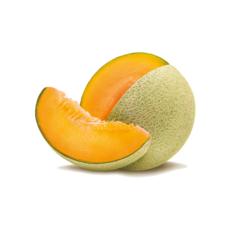cantaloupe melon ing