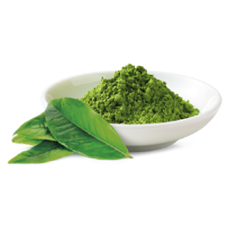 matcha green tea